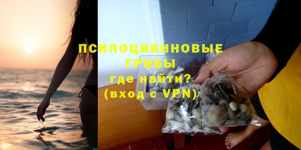 спайс Верея