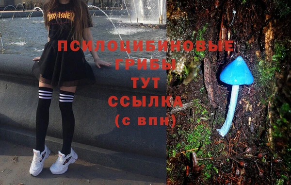 гидра Верхнеуральск