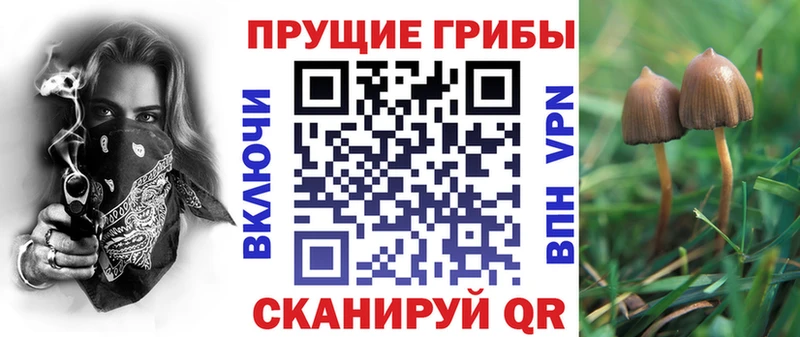 сколько стоит  МЕГА зеркало  Галлюциногенные грибы ЛСД  Геленджик 